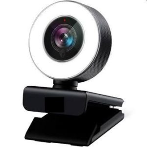 Erfolgsfaktoren virtuelle Meetings Webcam